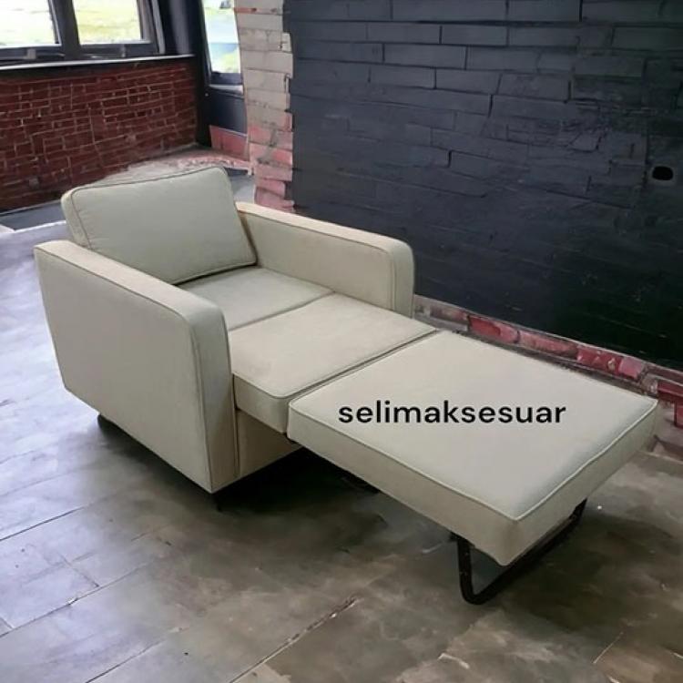 Rakkas Tekli Açılır Koltuk